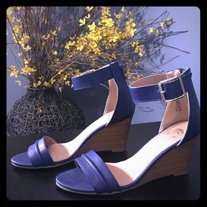 Blue wedges